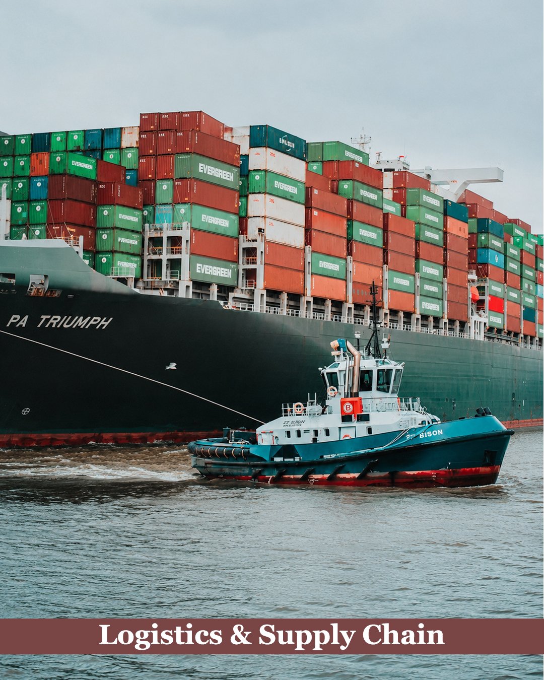 Logistics & Supply Chain